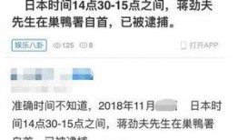 日本爆料的视频大全集,视频大全集深度解析