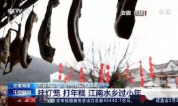 中央十三个频道在线直播观看视频,中央十三频道直播精彩瞬间大盘点