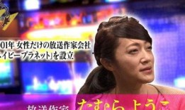 娱乐圈最新反腐爆料,揭秘明星背后的权力游戏