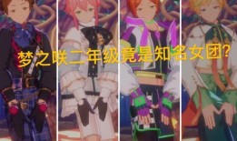 女团价格爆料视频大全集,揭秘娱乐圈幕后交易真相