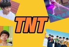 tnt最新爆料,揭秘最新热门事件内幕