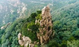 森林泰山在线观看,在线探险之旅，共赴奇幻森林之旅