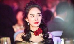 娱乐圈爆料离婚明星,明星夫妻离婚风波，揭秘背后真相