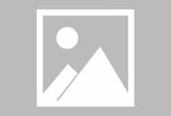 吃瓜小熊网红,揭秘网红背后的故事