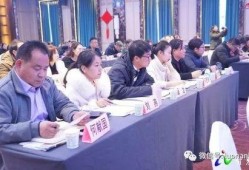 洛南爆料最新新闻,最新新闻事件深度解析