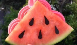 西双版纳网红吃瓜,揭秘热带风情下的美食诱惑