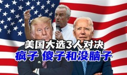 特朗普最新爆料视频,揭秘政治内幕与惊人真相