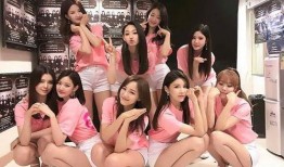 女团价格爆料视频大全集,揭秘娱乐圈幕后交易真相