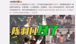 郭杰伦爆料大麦视频,揭秘行业黑幕背后的真相