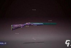 和平精英s10赛季手册最新爆料,全新爆料揭秘赛季亮点与玩法变革
