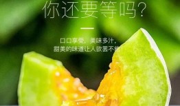 最近有没有什么网红瓜吃,笑料连连等你来吃！