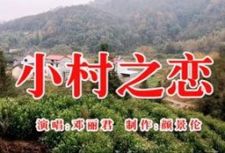 村在线观看,揭秘农村生活新视角