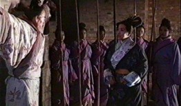 淮阴侯张丰毅在线观看,在线重温千古英雄传奇