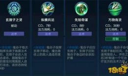 王者荣耀爆料技能大全最新,技能大全全新揭秘，英雄实力再升级！