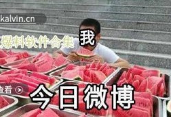最新吃瓜爆料视频大全集,揭秘娱乐圈幕后真相
