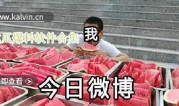 最新吃瓜爆料视频大全集,揭秘娱乐圈幕后真相