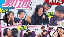 娱乐圈爆料明星上头条,明星上头条，揭秘幕后故事