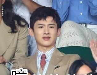 娱乐吃瓜猫白敬亭,娱乐吃瓜猫的甜蜜蜕变